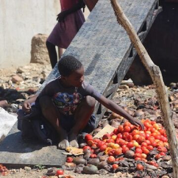 1,5m Namibians cannot afford healthy meal