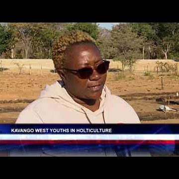 Youths in Kavango West take up horticulture production – nbc