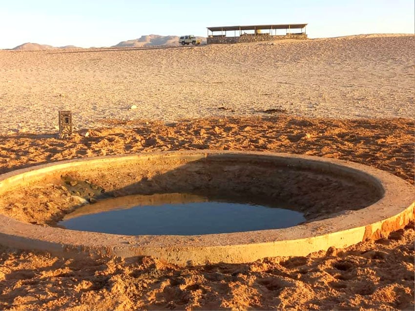 Sandsturm Garub Wasserstelle Wilde Pferde Aus Namib-Wüste Namibia