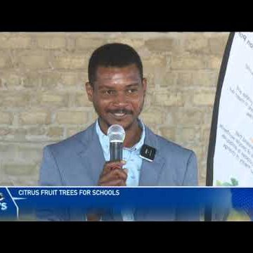 "Let’s Do It Namibia" donates citrus fruit trees to three different schools – nbc