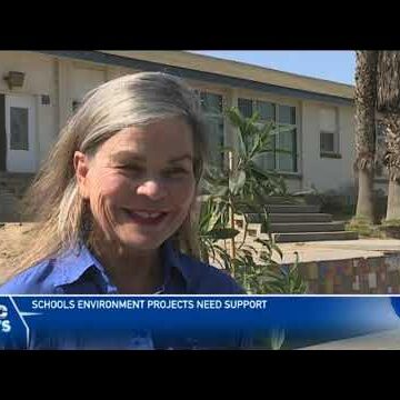 Reptile Mineral Resources donates trees – nbc