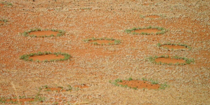 Selbstorganisation der Graeser ‘physikalisch unmoeglich’