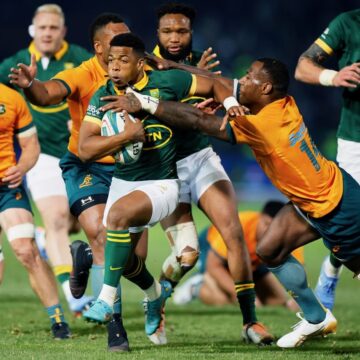 Springboks send 21 more players to New Zealand