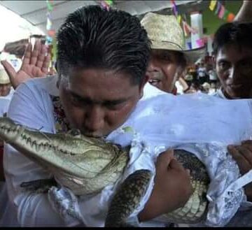 Man Marries a Crocodile in Mexico – Namibia Daily News