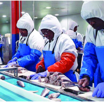 NamRA’s ‘fishy’ tax assessment disputed…. Fishing industry says it contributes N$1,32 billion in taxes – WINDHOEK OBSERVER