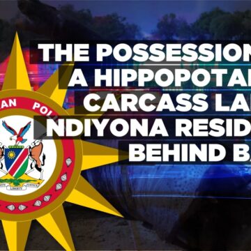 The possession of a hippopotamus carcass lands Ndiyona resident behind bars