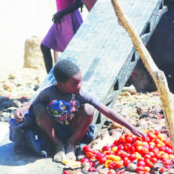 1,5m Namibians cannot afford healthy meal