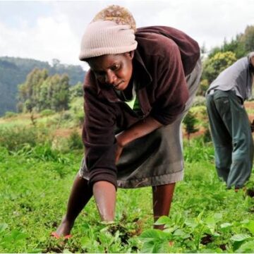 Two-day summit set to empower female farmers