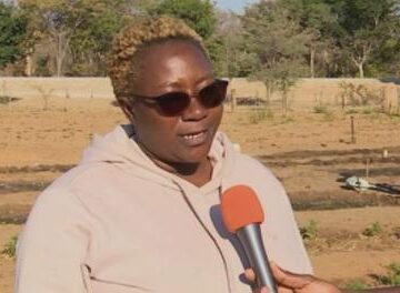 Youths in Kavango West take up horticulture production