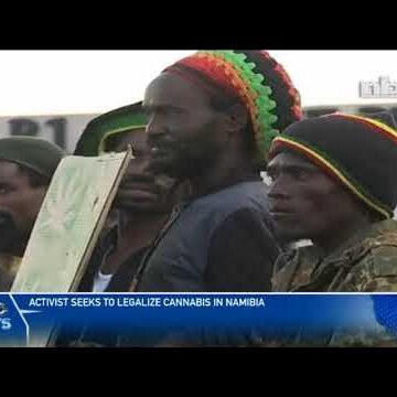 Activist seeks to legalize cannabis in Namibia – nbc