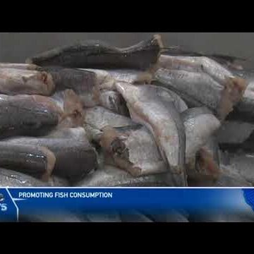 NFCPT initiates sea fish consumption campaign – nbc