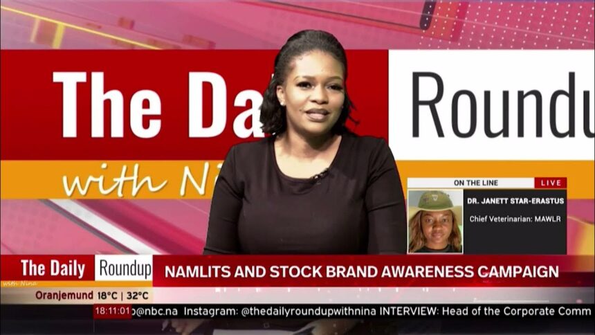 THE DAILY ROUNDUP WITH NINA | NamLITS awareness campaign – nbc