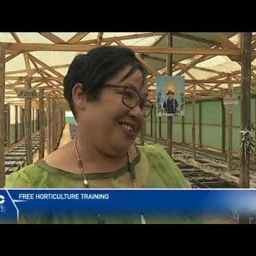 Walvis Bay resident opens Community Garden  – nbc