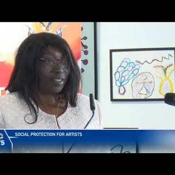 MoEAC hosts public discussion on social protection for artisans – nbc