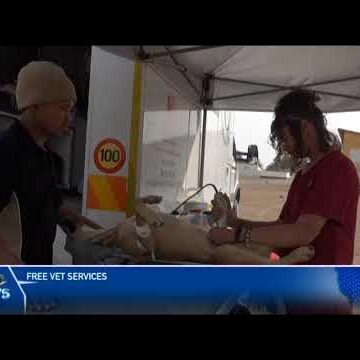 Baines Vet Care Mobile Animal Clinic offers services in Keetmanshoop – nbc