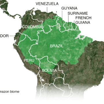 Amazon nations gather for climate talks