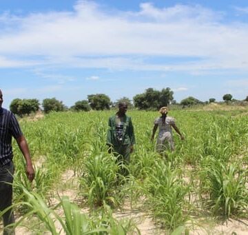 Collaborative Steps to Promote Conservation Agriculture in Southern Africa – Namibia Daily News