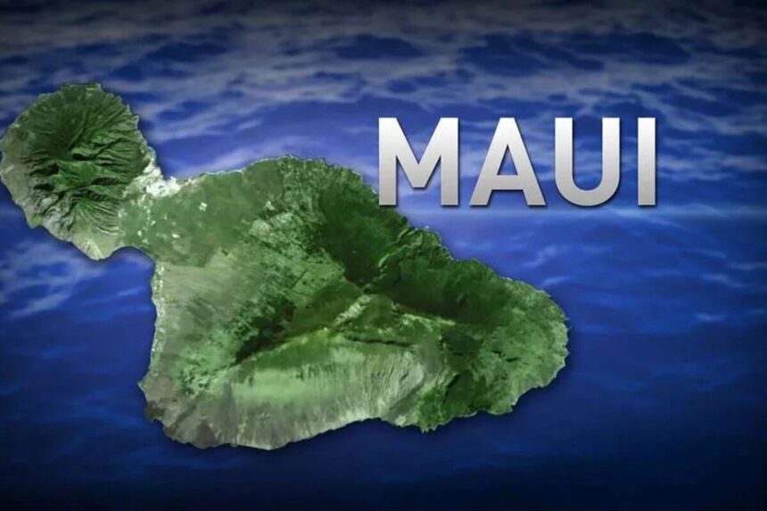 Maui County Sues Utility Company Over Wildfires