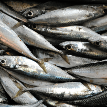 Fishrot fishermen have still not received their severance pay