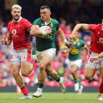 Kolisi returns as Springboks thrash Wales in Rugby World Cup warm-up