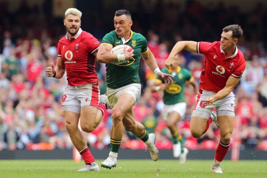 Kolisi returns as Springboks thrash Wales in Rugby World Cup warm-up