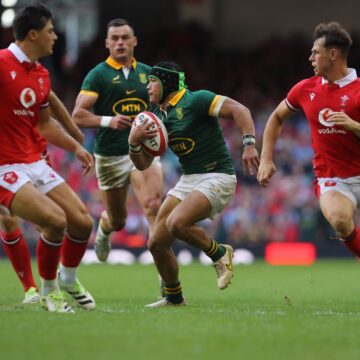 Nienaber wants more from Springboks after Wales rout