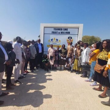 Local Vendors in Tsumeb Rejoice as Fruit and Veg Hub Opens Its Doors – Namibia Daily News