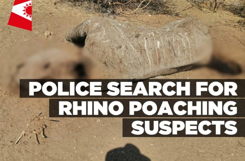 Police search for rhino poaching suspects