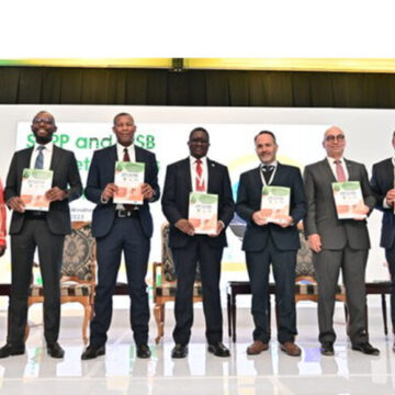 SAPP and MSB access guide launched to boost energy trading market – Windhoek Observer