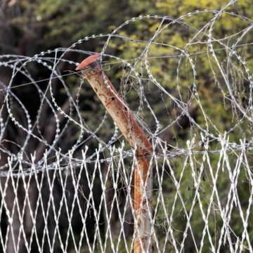 Sexuelle Gewalt hinter Gittern zunehmendes Problem