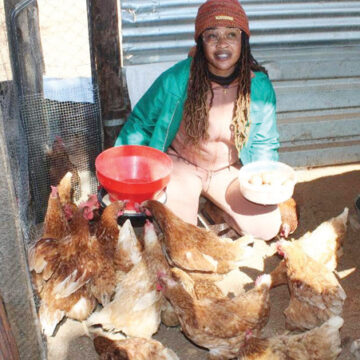 Small chicken business keeps home fires burning