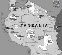 Tanzania police arrest two, accuse them of organising protests