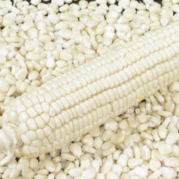 White maize producers get new floor price