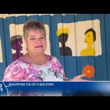 Namibia Women Society’s Windhoek Branch to transforms bus stops – nbc