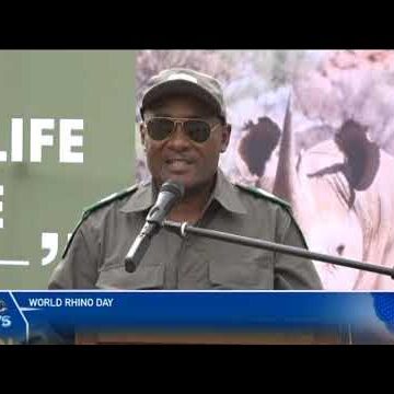 Illicit poaching of black & white rhino horns a concern – nbc