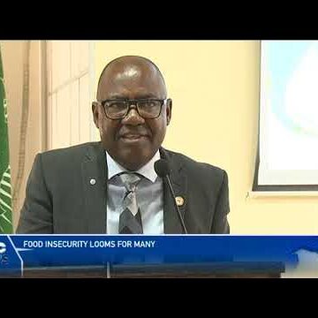 Food insecurity looms for many in Namibia – nbc