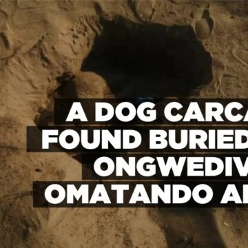 A dog carcass found buried at Ongwediva’s Omatando area