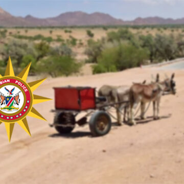 Man dies in donkey cart accident