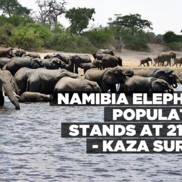 Namibia elephant population stands at 21 090 – KAZA Survey