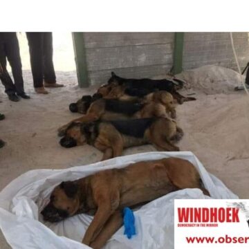 Oshana Police euthanize dogs that killed security guard – Windhoek Observer