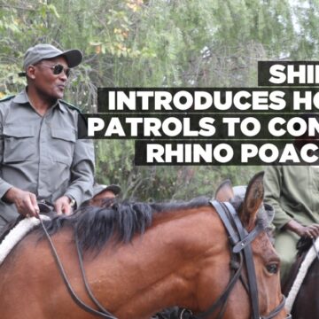 Shifeta introduces horse patrols to combat rhino poaching