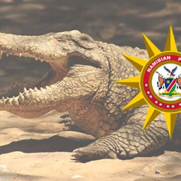 Grade One pupil attacked by crocodile at Hoha