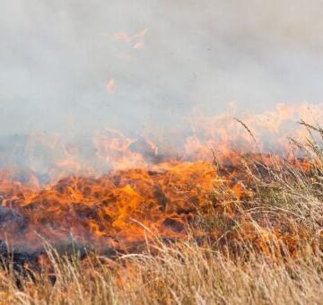 Omaheke villages battle veldfires | nbc