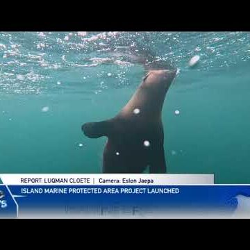 Namibian Islands’ Marine Protected Area project launched – nbc