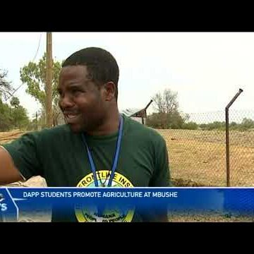 DAPP students promote agriculture at Mabushe – nbc