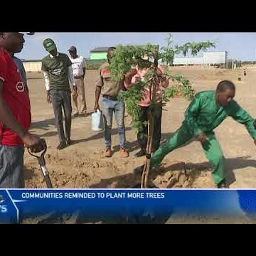 Communities reminded to plant more trees – nbc