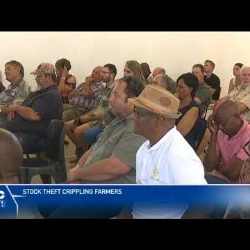 Rehoboth ,Okahandja farmers assemble to discuss rising stock theft – nbc