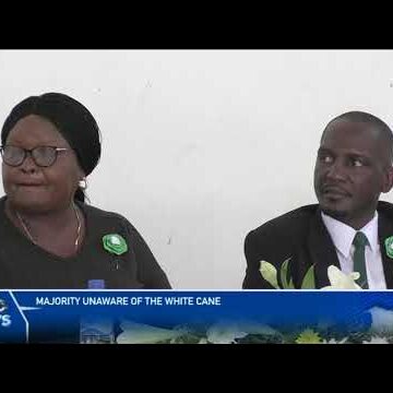 Majority unaware of white cane – nbc