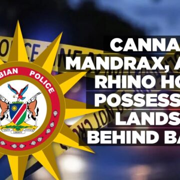 Cannabis, mandrax, and rhino horn possession lands six behind bars