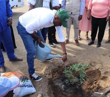 Communities reminded to plant more trees